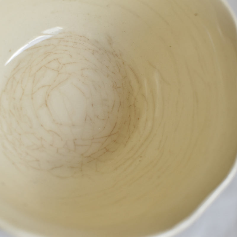 Vintage Cup & Saucer Digoin & Sarreguemines Agreste