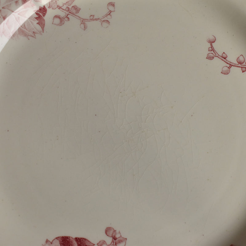 Antique Plate Lunéville Fontainebleau E
