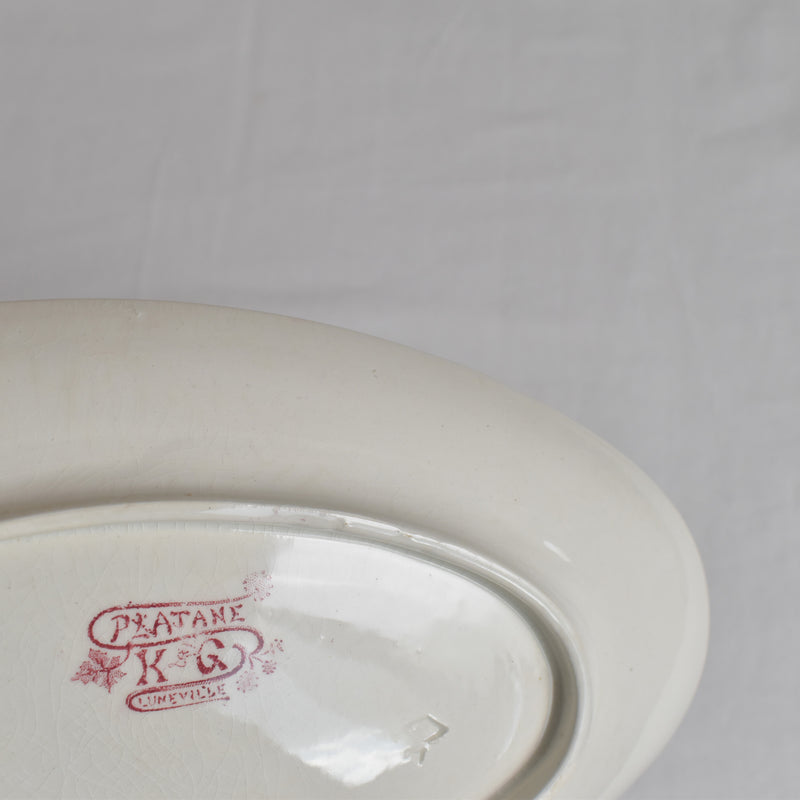 Antique Raviere K&G Luneville Platane A