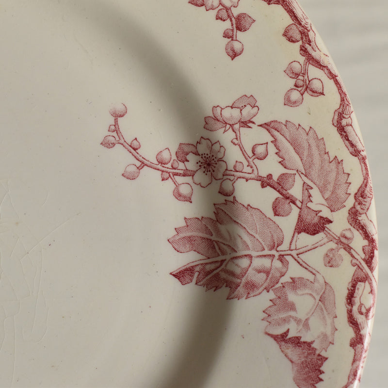 Antique Plate Lunéville Fontainebleau E
