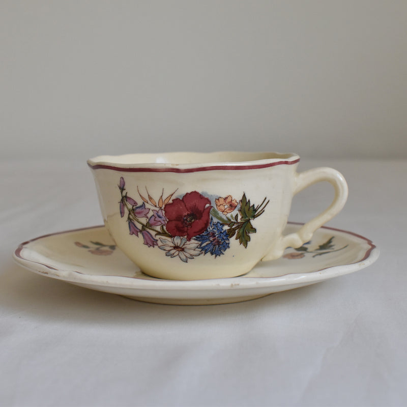 Vintage Cup & Saucer Digoin & Sarreguemines Agreste