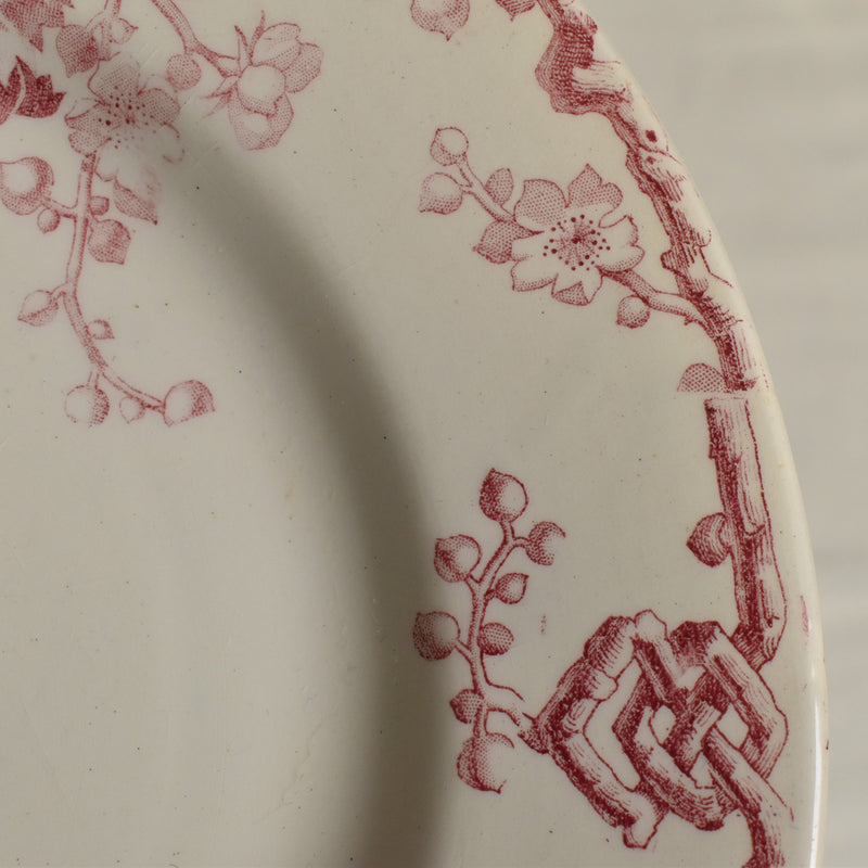 Antique Plate Lunéville Fontainebleau E