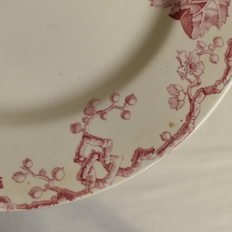 Antique Plate Lunéville Fontainebleau E