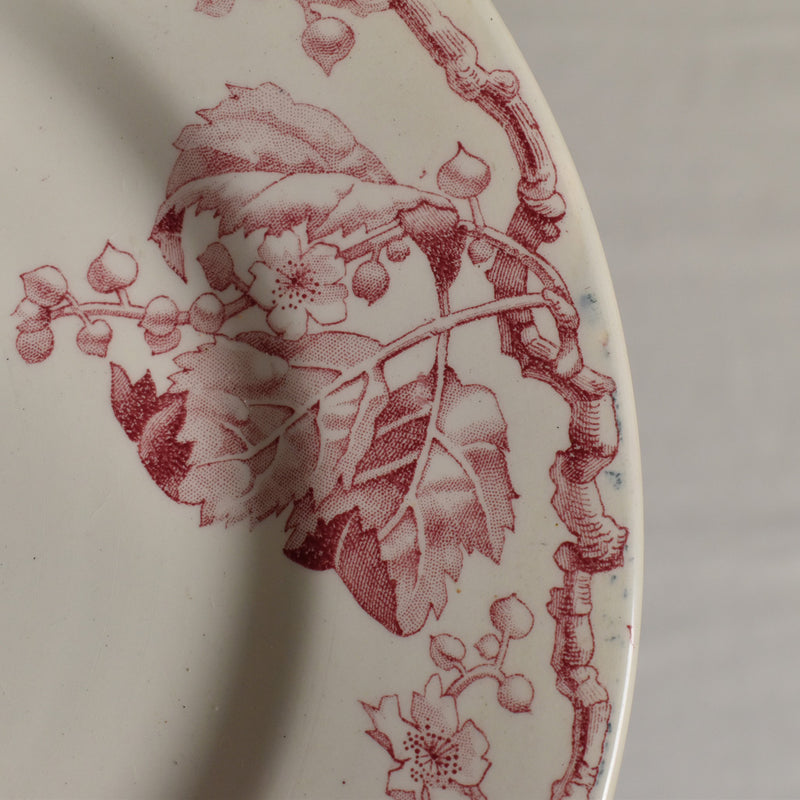 Antique Plate Lunéville Fontainebleau E