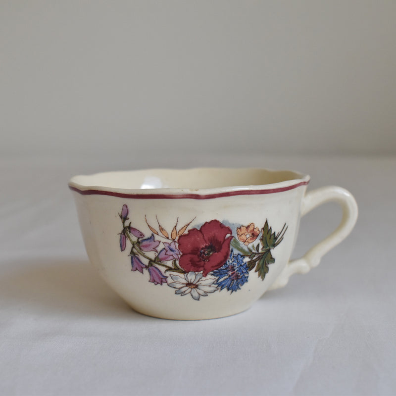 Vintage Cup & Saucer Digoin & Sarreguemines Agreste