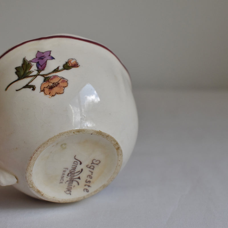 Vintage Cup & Saucer Digoin & Sarreguemines Agreste