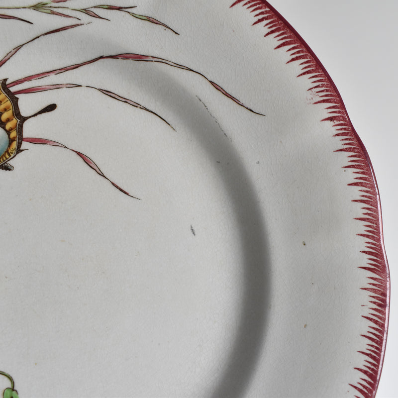 Antique Plate U&C Sarreguemines Papillon (Butterfly)