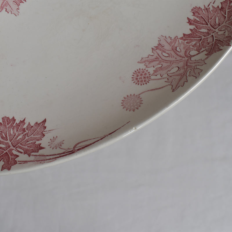 Antique Raviere K&G Luneville Platane B