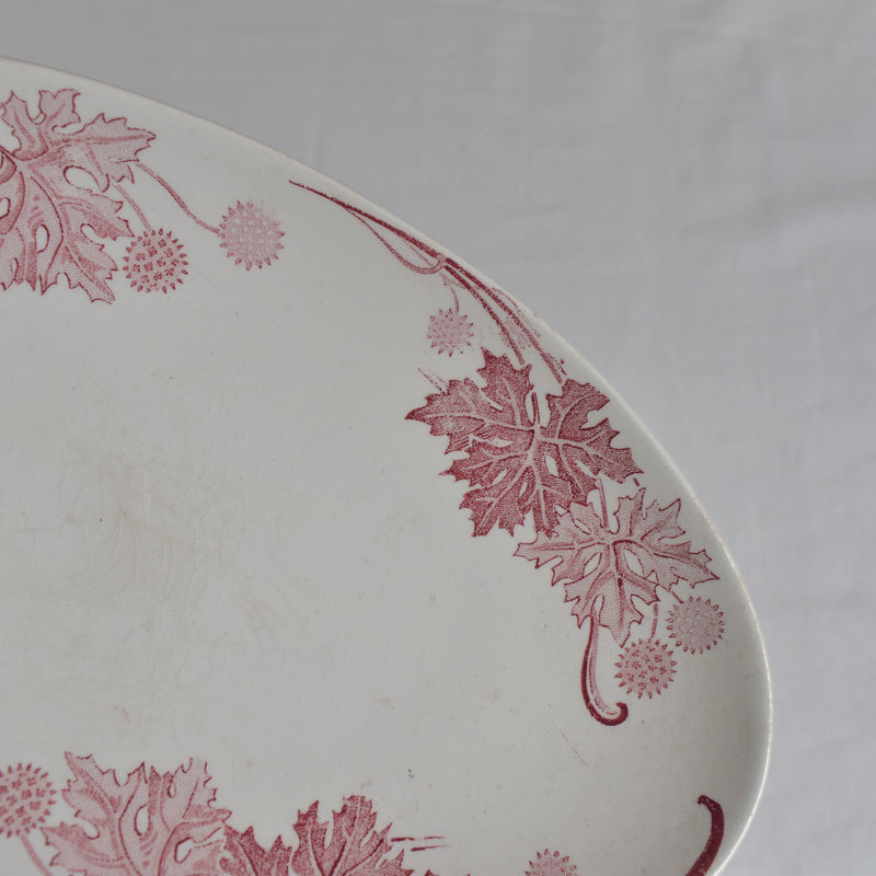 Antique Raviere K&G Luneville Platane B