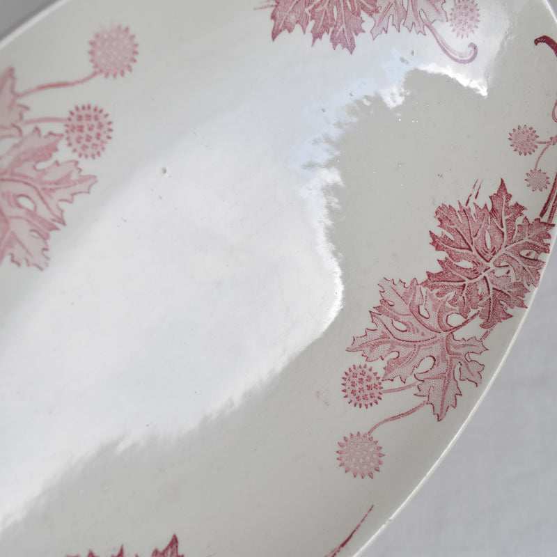 Antique Raviere K&G Luneville Platane B