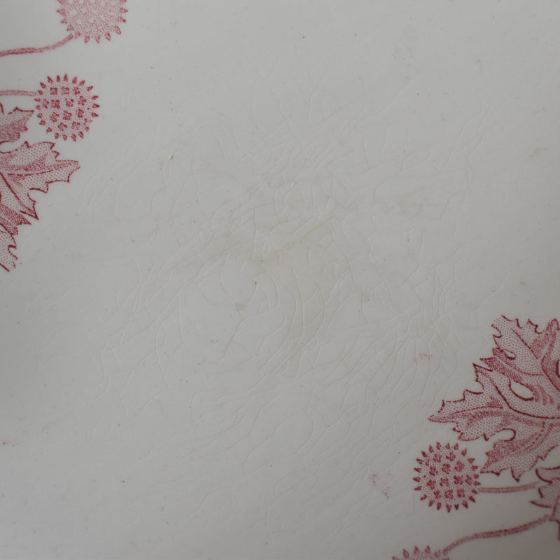 Antique Raviere K&G Luneville Platane B