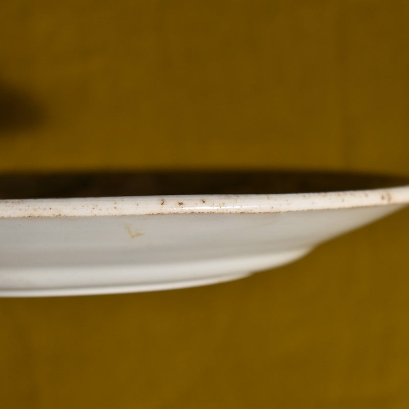 Antique plate - Lunéville - Houx (Holly)
