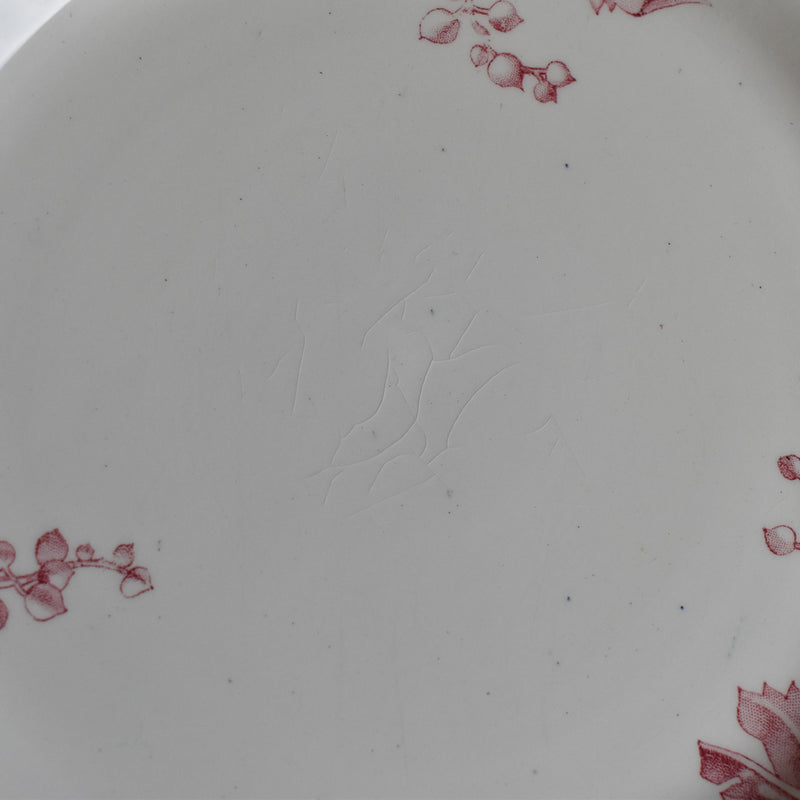 Antique Plate Luneville Fontainebleau D