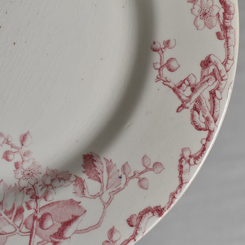 アンティークプレート  リュネヴィル　Fontainebleau C