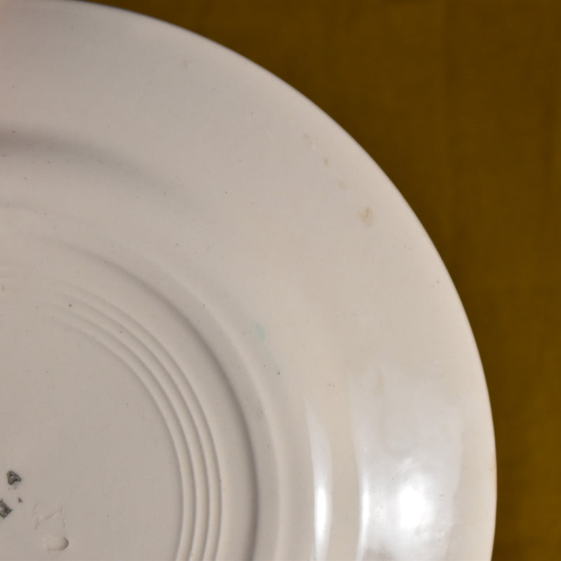 Antique Plate - Creil & Montereau, Houx (Holly)