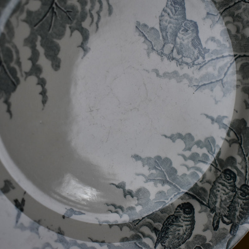 Antique Dessert Plate, Sarreguemines "Neige" (Snow) A