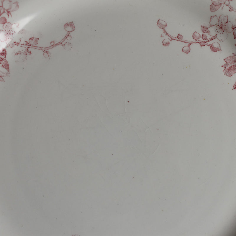 アンティークプレート  リュネヴィル　Fontainebleau B