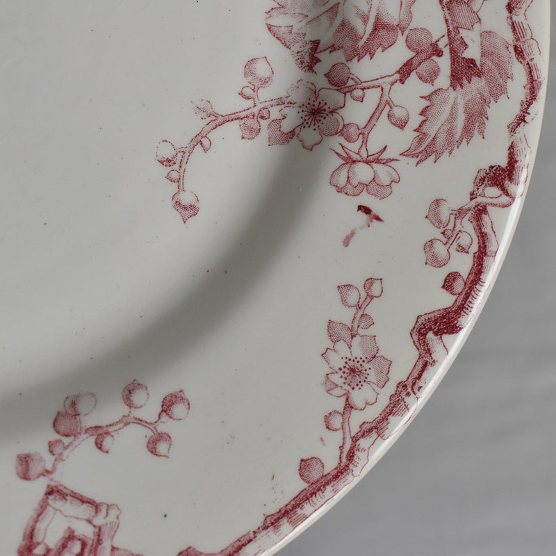 アンティークプレート  リュネヴィル　Fontainebleau B