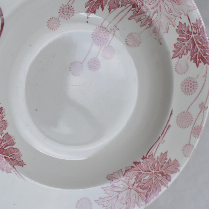 アンティーク深皿 K&Gリュネヴィル Platane A