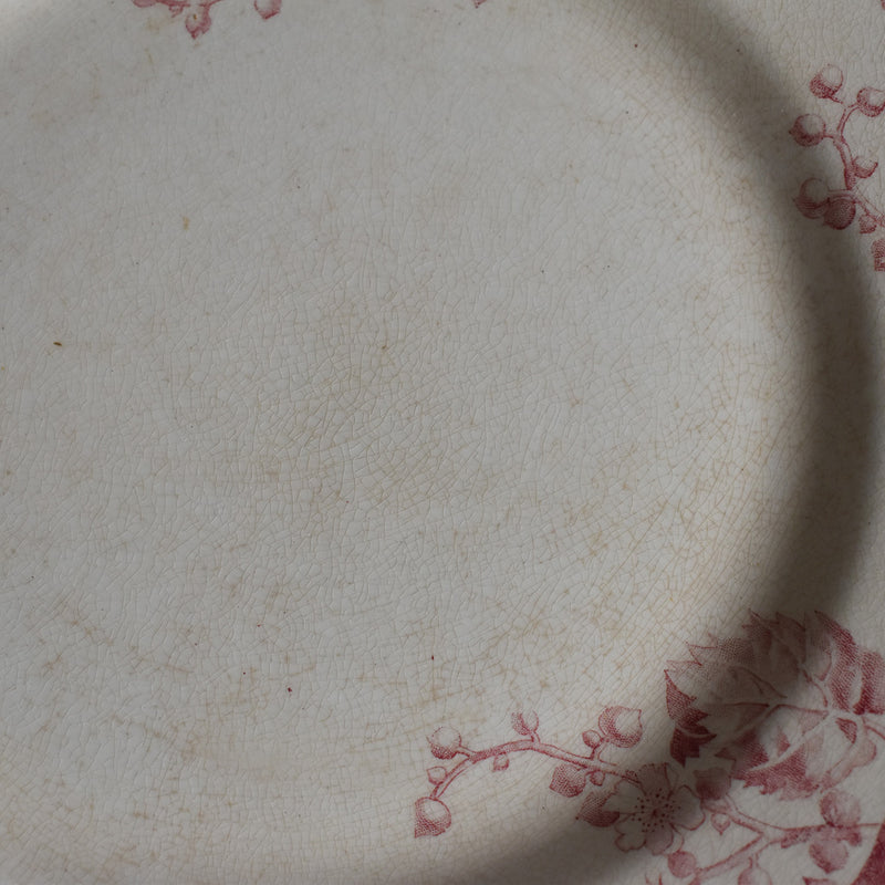 Antique Plate Lunéville Fontainebleau A