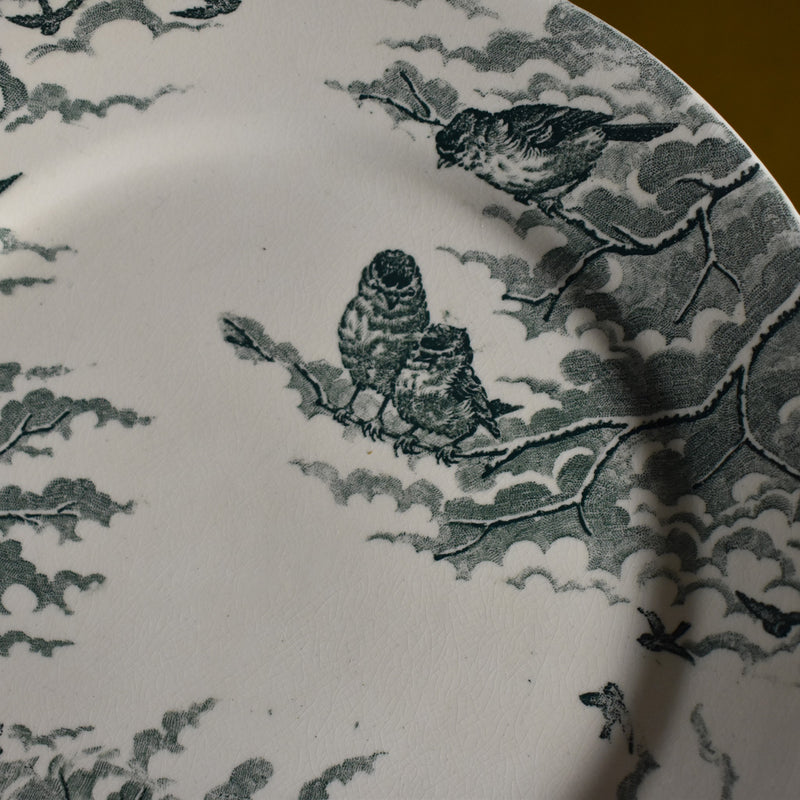 Antique Dessert Plate, Sarreguemines "Neige" (Snow) B