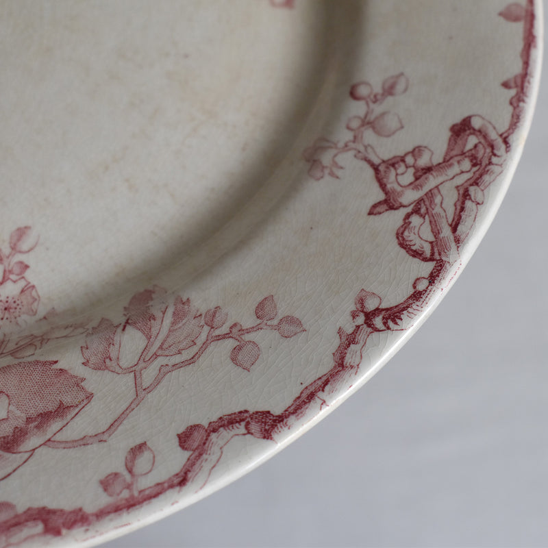 Antique Plate Lunéville Fontainebleau A