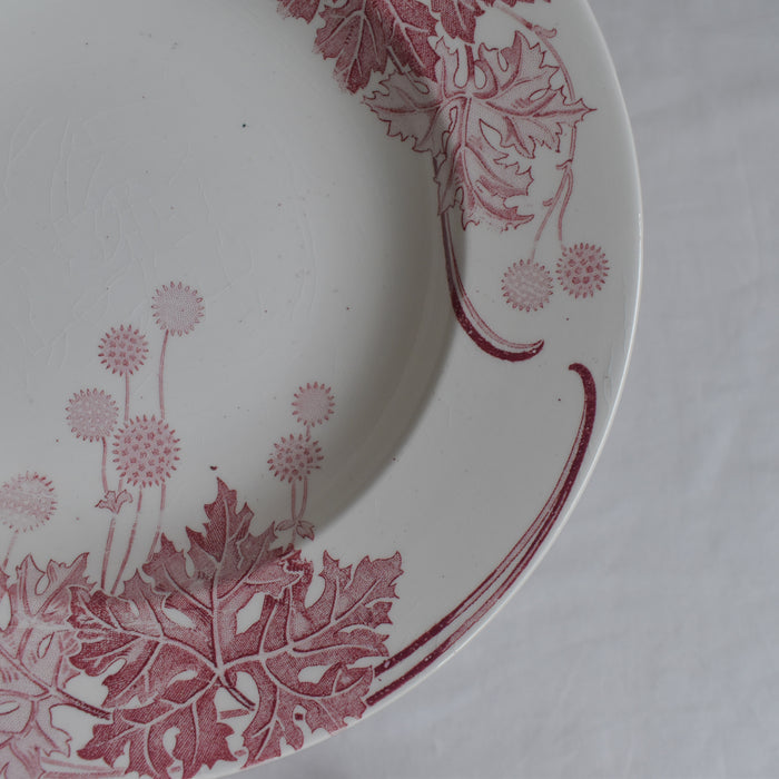 アンティーク深皿 K&Gリュネヴィル Platane A