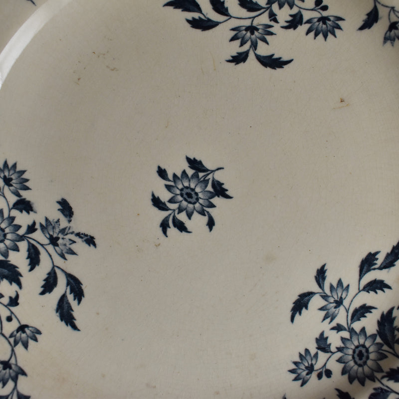 Antique Plate, Sarreguemines "Moscou"