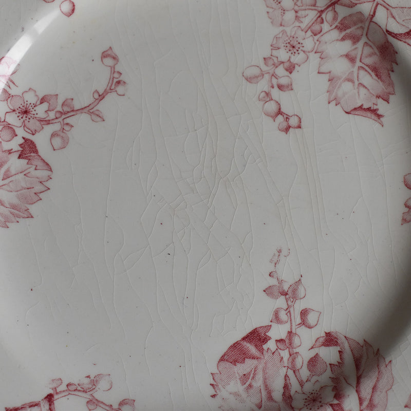 Antique Dessert Plate Lunéville Fontainebleau D