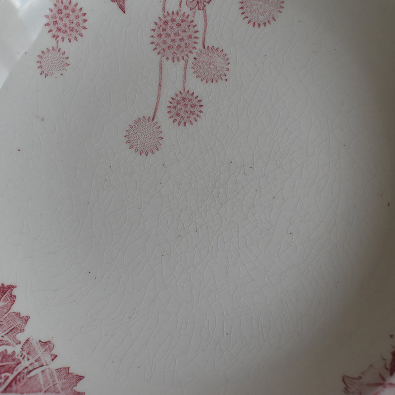 Antique Deep Plate K&G Luneville Platane B