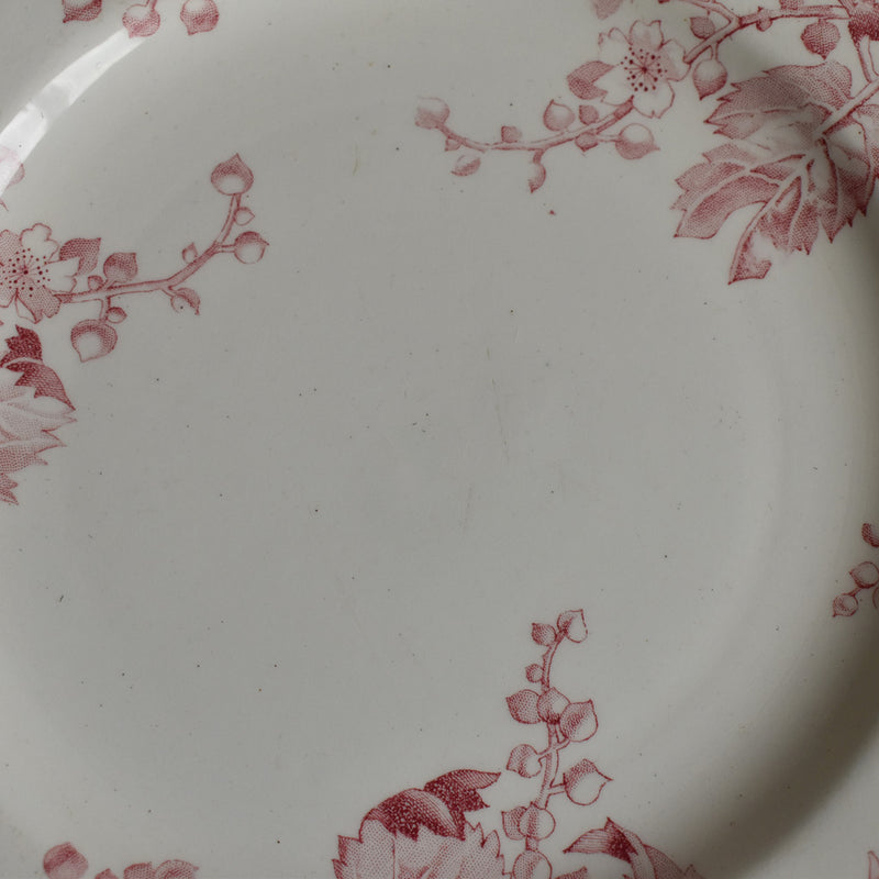 Antique Dessert Plate - Lunéville Fontainebleau C