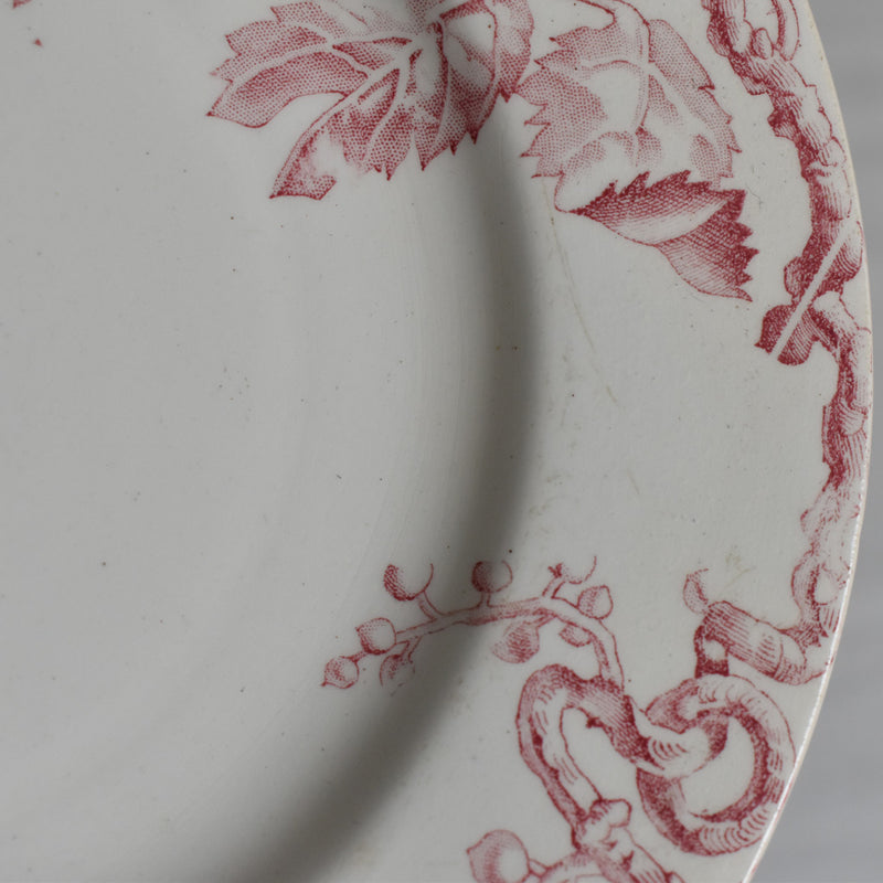 Antique Dessert Plate - Lunéville Fontainebleau C