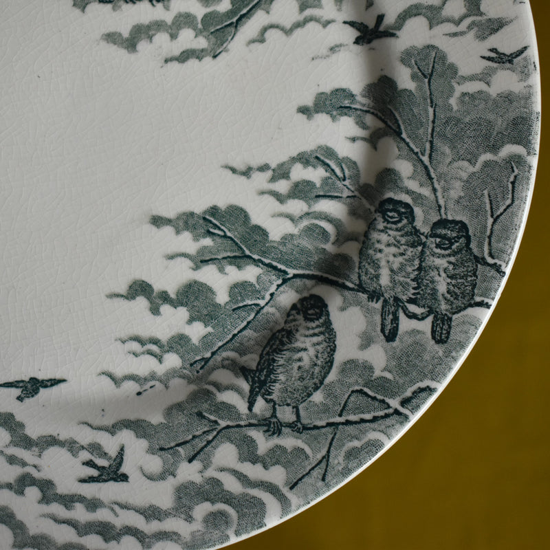 Antique Dessert Plate, Sarreguemines, Neige (Snow), D