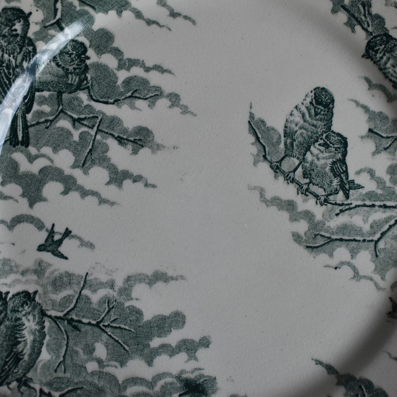 Antique dessert plate Sarreguemines Neige (Snow) E