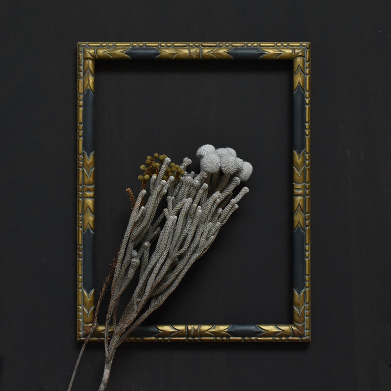 Antique Frame - Black & Gold B