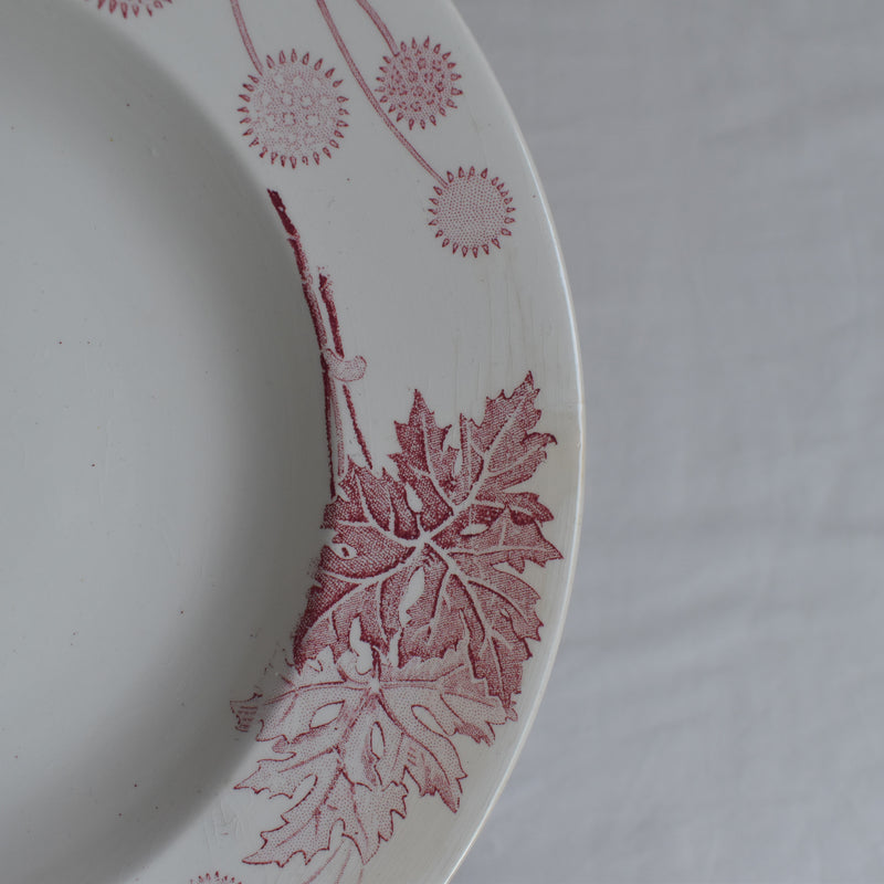 Antique Deep Dish K&G Luneville Platane C