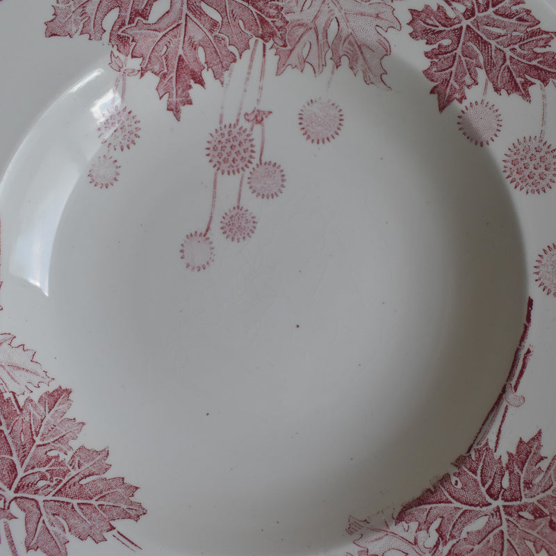 Antique Deep Dish K&G Luneville Platane C