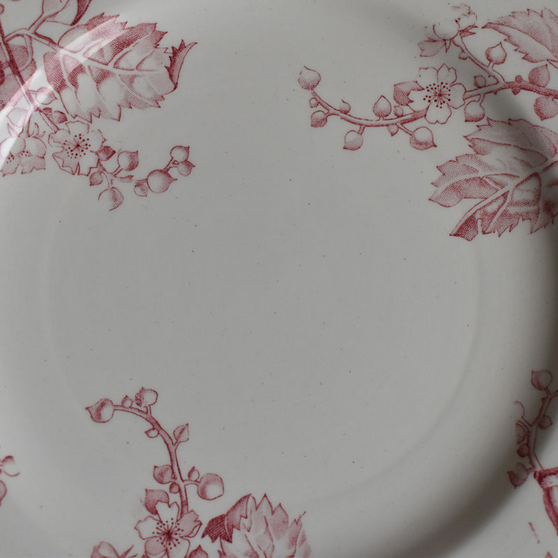 Antique Dessert Plate Luneville Fontainebleau A