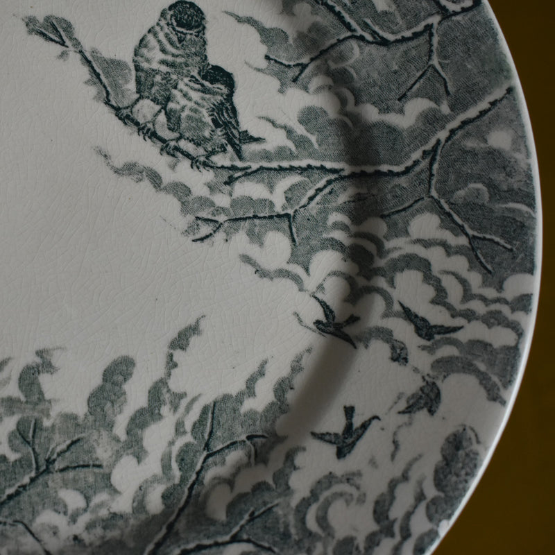 Antique Dessert Plate - Sarreguemines "Neige" (Snow) F