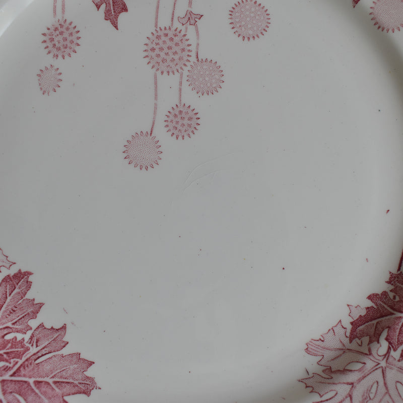 Antique Plate K&G Luneville Platane A
