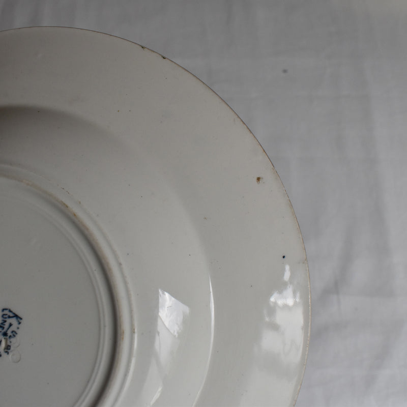 Antique Deep Plate, K&G Luneville, Tulipes A