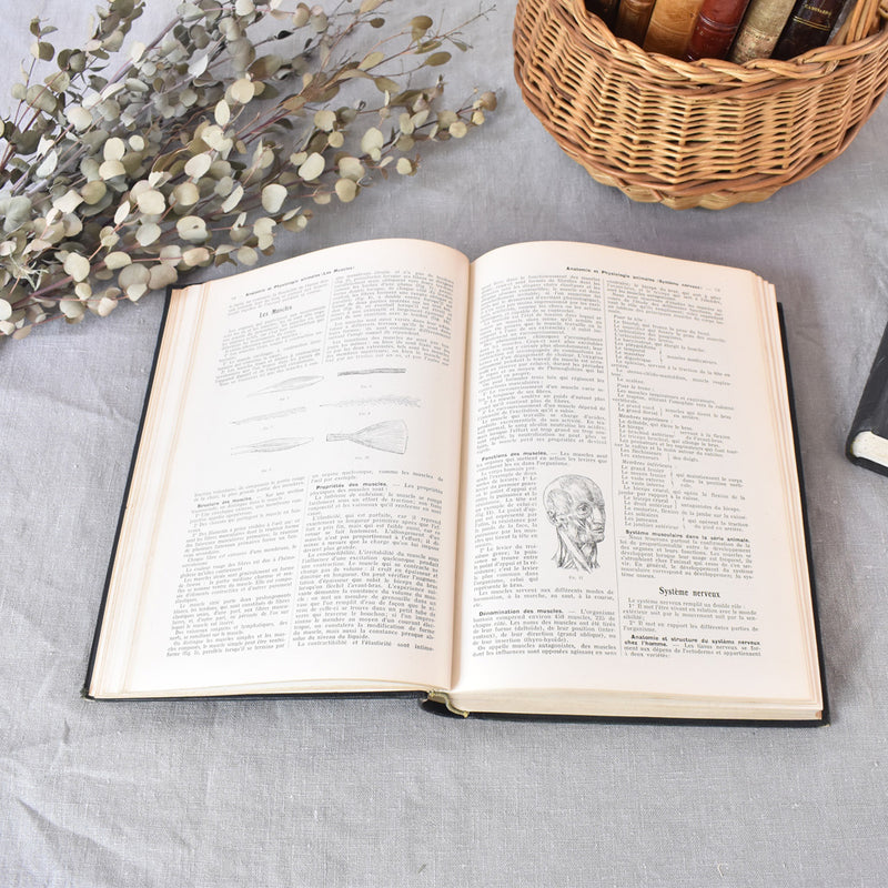 Vintage encyclopedia: Encyclopédie autodidactique Quillet I