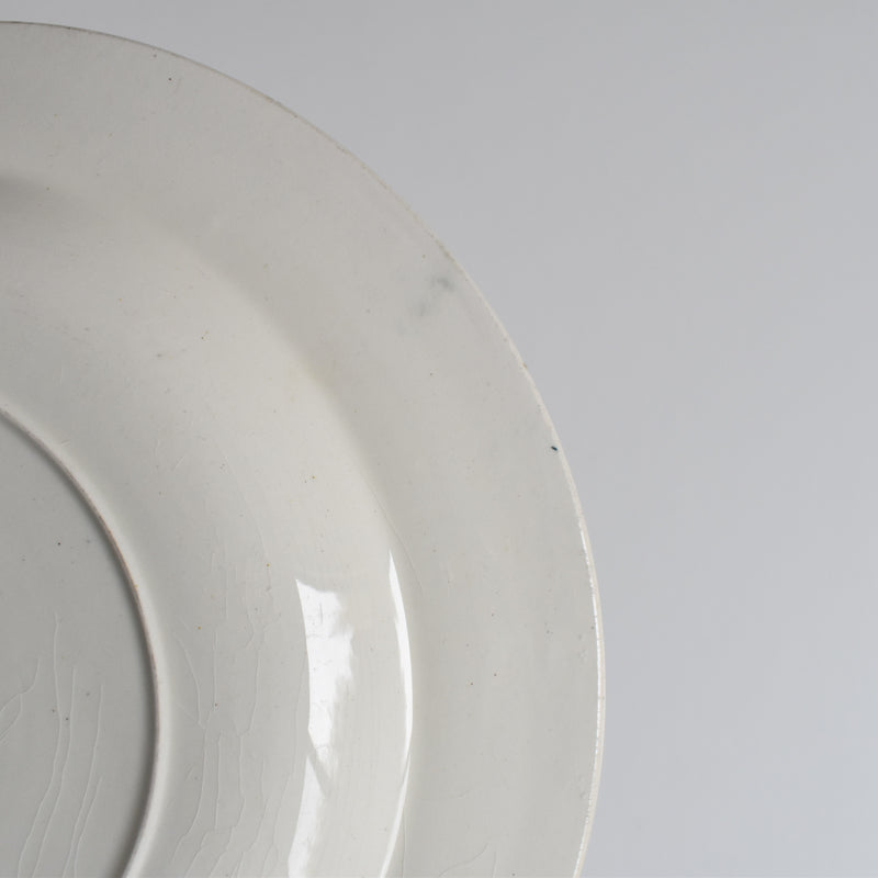 Antique Deep Plate Sarreguemines Martainville