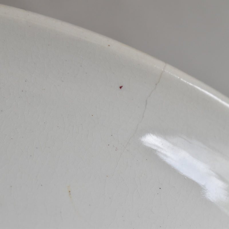 Vintage Large Bowl St Amand & Hamage Jardinière
