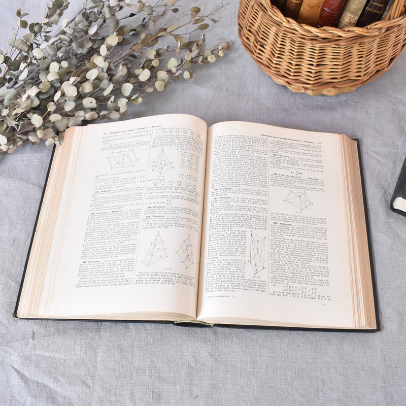 Vintage encyclopedia: Encyclopédie autodidactique Quillet I