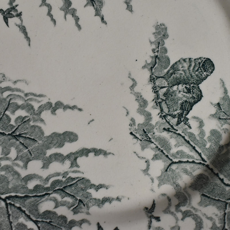 Antique Dessert Plate, Sarreguemines "Neige" (Snow) G