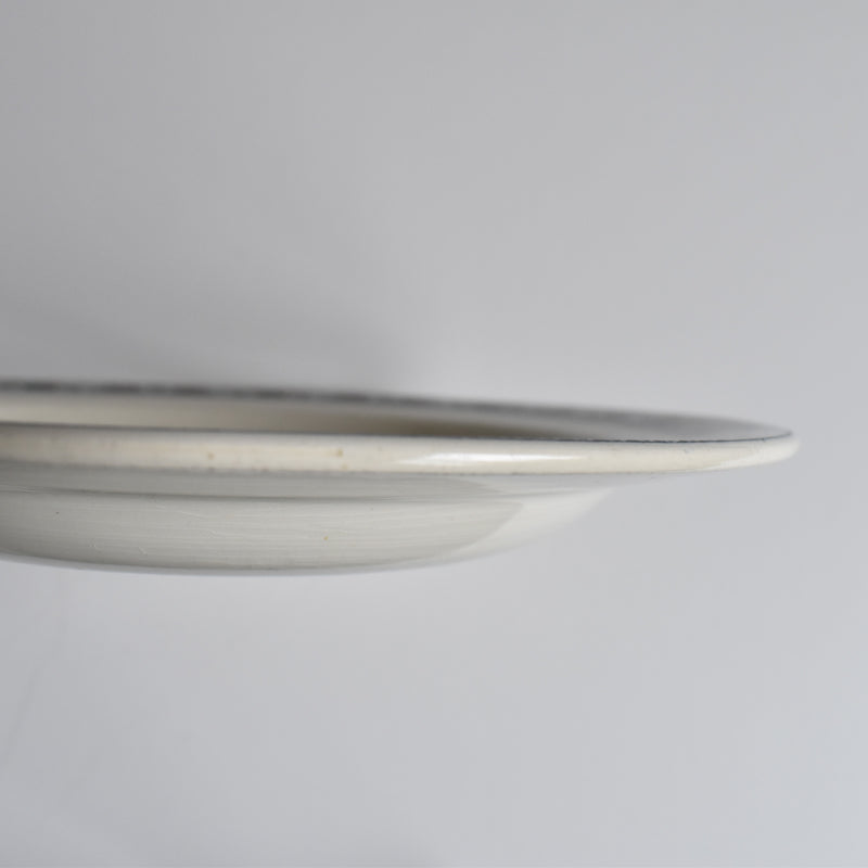 Antique Deep Plate Sarreguemines Martainville