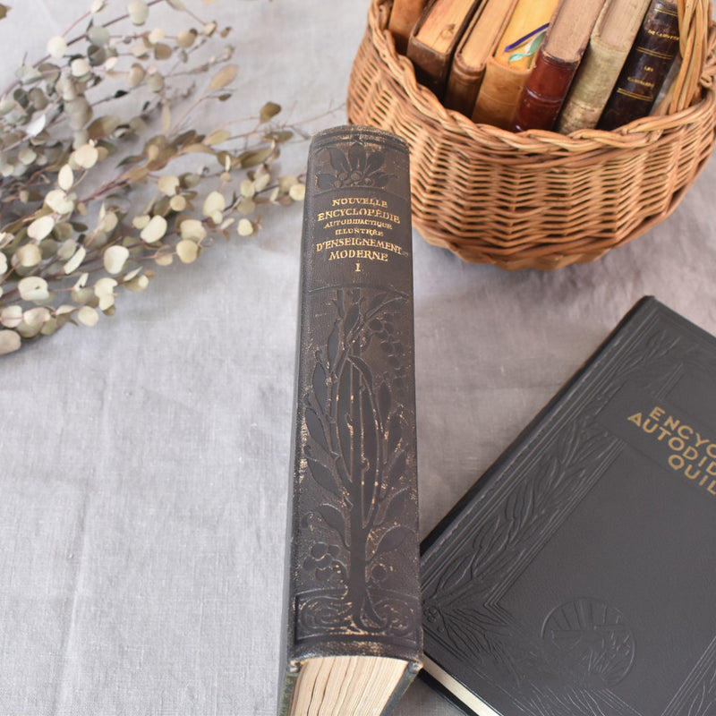 Vintage encyclopedia: Encyclopédie autodidactique Quillet I