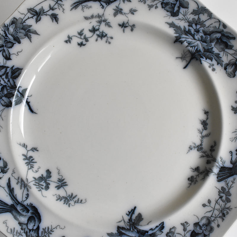 Antique Plate BWM&Co (E.Bourgeois) Indiana A