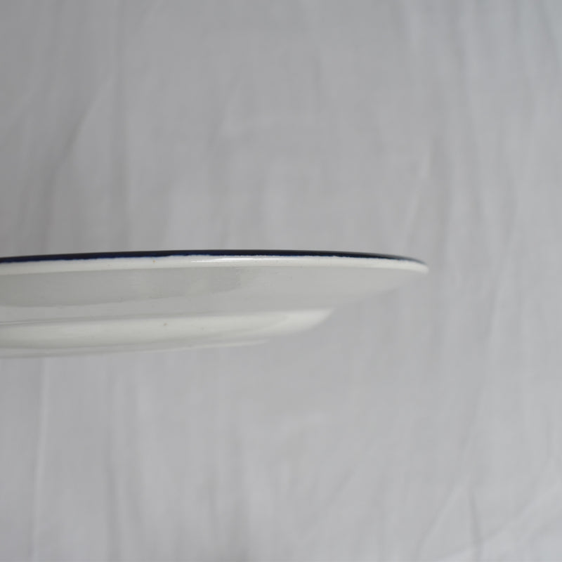 Antique Dessert Plate, Sarreguemines, Campagne H